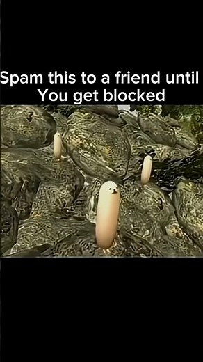 You must share and Remix this video to go viral🔥