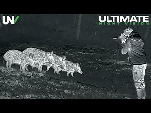 90 Hogs Down with the iRay Micro | Thermal Hog Hunting in Texas