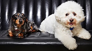 The Model Agency - Series 1: Episode 5 | Channel 4