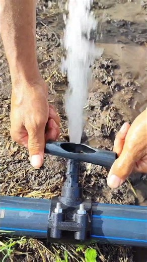 Farmers must be able to survive, have enough to eat, and not cause trouble for anyone. #BaoRinAgr...