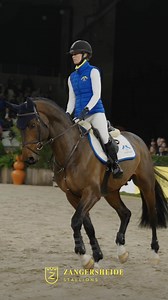 45K views · 607 reactions | #ZangersheideStallions Django Z - In the...