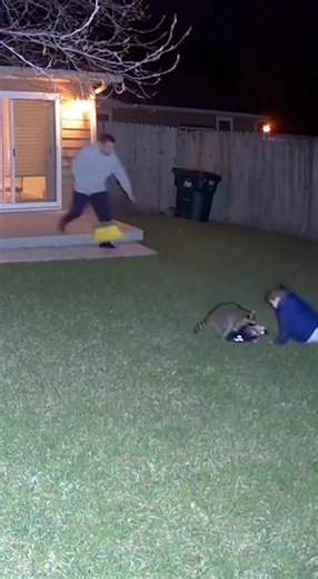 Unreal Nighttime CCTV 😱 Raccoon Attacks Child Near Trash Bins — Brave Homeowner Fights It Off! #CCTVFootage #RaccoonAttack #CaughtOnCamera #BackyardFootage #NightVision #AnimalAttack #WildlifeEncounter #RealFootage #SuburbanHome #ViralVideo | CCTV zone