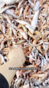 时隔很久，终于再次来到深水400米区域，挑战深海400米捕鱼，一起看看这边会有什么收获