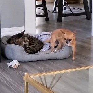 1.2M views · 10K reactions | Mix Tropical - Agrupación on Reels | Facebook