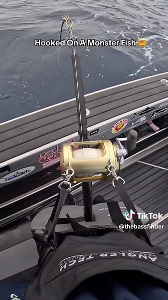 Exciting Tuna Fishing Adventure Caught on Camera