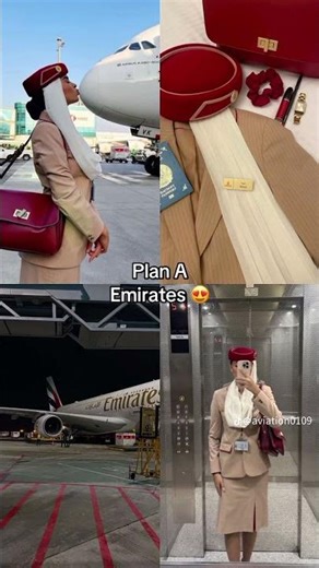 flight ✈️ attendance