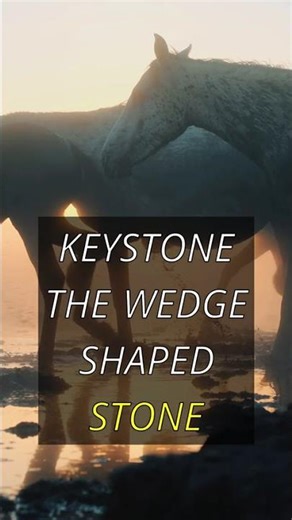 How do Arch Bridges work? The Squeeze & Keystone Secret! 🤯🏗️ #shorts