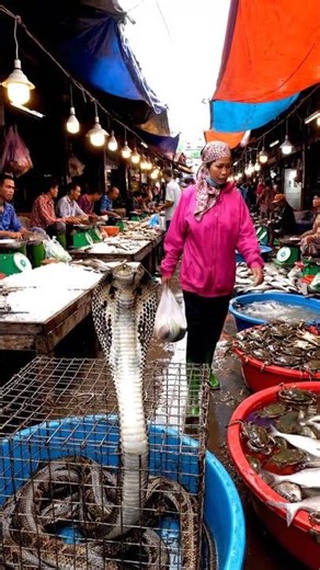 Eating The World's WILDEST Street Food (You Won't Believe This)