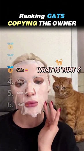 Ranking CATS COPYING THEIR OWNERS Core Moments!! 😹👀
