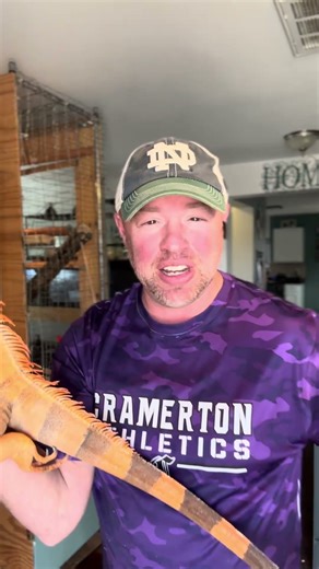 Iguanas are not for the weak, but they are stunners! #reptiles #iguana