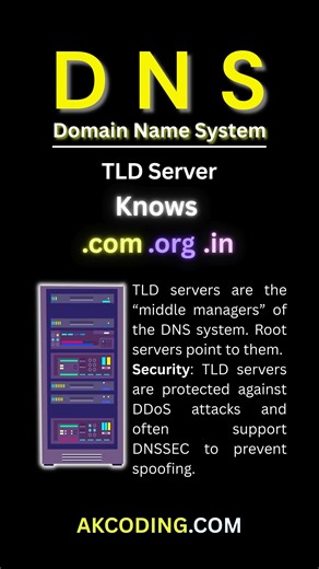 What TLD Servers Do?