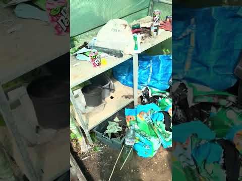 Allotment Walkaround 🌿and new anset solar water irrigations system.