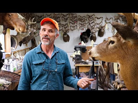 HOW TO CLEAN A DEER MOUNT
