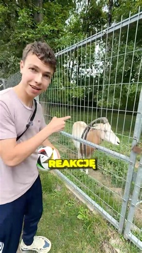 Reakcja zwierząt na Triki w ZOO!🤯