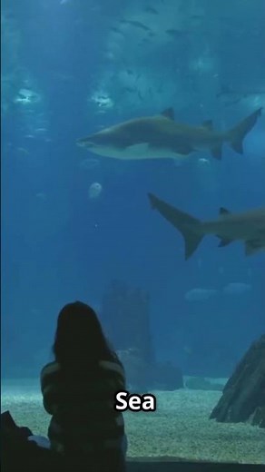 Explore Sea Life Bangkok Ocean World Tickets, Tips & Must-See Zones! #shorts