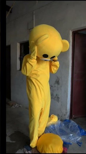 New teddy bear costume bye!!