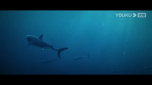 31M views · 448K reactions | Can we really eliminate sharks completely by working together? 齐心协力对抗鲨鱼，真的能完全消灭它们吗？ #吞天巨鲨 #MegalodonReturns #优酷电影 #youkumovie | Youku Movie | Facebook