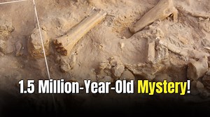 Million-year-old fossil changes what we know about human hands and feet