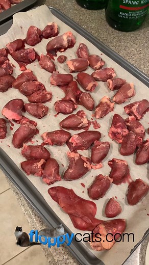 OMG! This Hack Makes Freezing Raw Chicken Hearts for Cats EASY I did a consultation with Jennifer at the @the.raw.fed.feline to make sure my 14.5-year-old Ragdoll cats that are being raw fed are on a complete and balanced diet for their ages and health situations. One of the things that Jennifer suggested was to add chicken hearts, not only for added taurine but for other reasons. So, I ordered them from @rawfeedingmiami. When they arrived, I dethawed them and then set them out individually on a