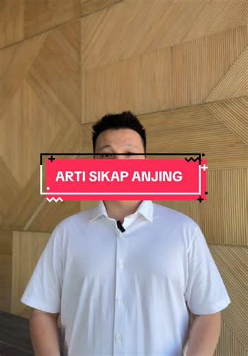 Arti Sikap Anjing dan Grooming yang Tepat