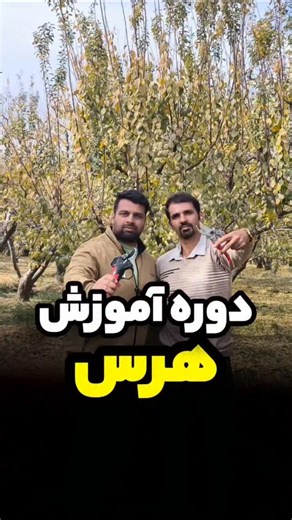 Hamidreza Askari on Instagram‎: "دوره آموزشی نوابغ هرس: 💥آموزش صفر تا صد هرس درختان مختلف از دانه دار تا هسته دار و گردو و انار و زیتون و... ✅دوره بیش از ده ساعت ویدیو آموزشی هست و بیش از صد ویدیو آموزشی ✅قیمت دوره ۶۵۰ هزار تومان هست و سه تا از ویدیو های دوره را میتونید بصورت رایگان تماشا کنید! ✅کافیه کلمه هرس را ارسال کنید #هرس #باغبانی #باغداری #نهال #نهالستان #نهالکاران #نهالکاران_مدرن"‎