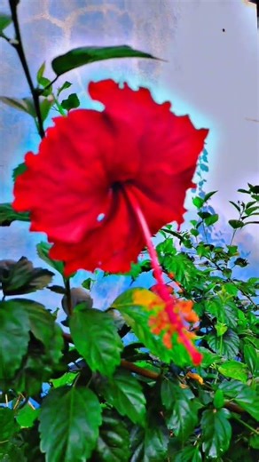 village cooking 🫕 natural & healthy food #short #cooking