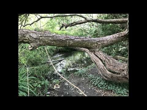 Ravensbourne River, London Slideshow (September 2025)