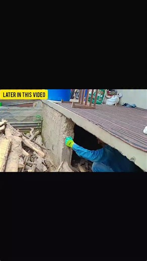 manzoor wildlife | Gunus (levantine viper) rescued safely from bandipora #viral #snake #wildlifephotography #rescuesnake#care | Instagram