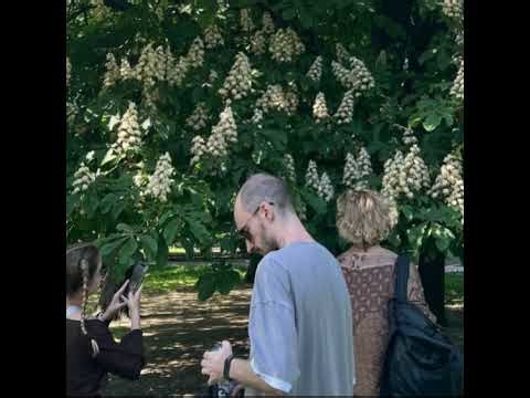 pure rust gamedev solo indie autobattler coding + vibing | bevy egui spacetimedb zed