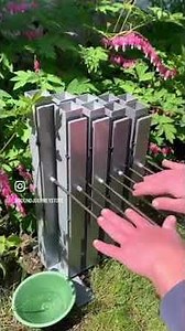 Euphonic Array in nature