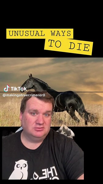 makingatruecrimerer on TikTok