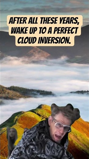 Finally......Wake up to a cloud inversion. #memes #camping #hiking #youtubeshorts
