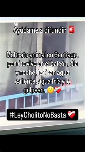Se logró gracias a las denuncias y difusión masiva, el dueño fue detenido y el perrito ahora está a salvo ❤️‍🩹🐶 Compartir si funciona, difundir si hace justicia 🥳 #maltratoanimal #chile #casos #saludmental #dog