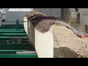 Select Sawmill 4221E with 10' extension (1/2)