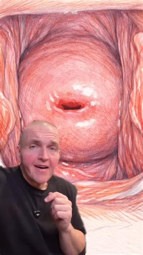 The cervix is uniquely susceptible to HPV. And HPV is the number one cause of cervical cancers. Why is that? Side note, there’s literally a vaccine for these cancers! By preventing HPV you prevent the cancers. #anatomy #science #medical | SCI Body Therapy