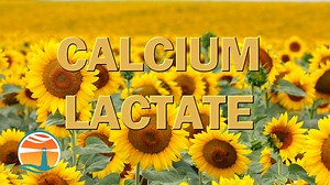 Watch How Is Calcium Lactate Used in the Food Industry on Amazon Live