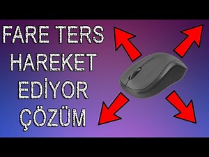 Mouse Moves Inversely Solution