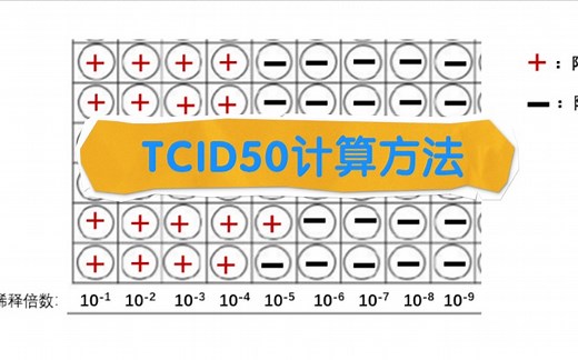 关于TCID50计算方法（以实例讲解）