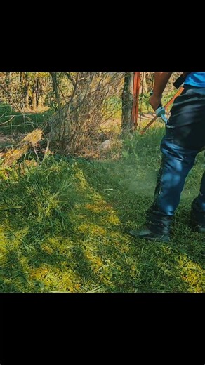 Ultimate Stihl FS561 BrushCutter #stihl #brushcutter #trimmer #gardening #landscape #backyard