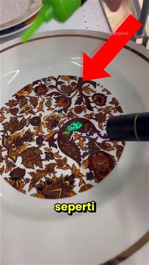 Fakta mengejutkan piring keramik‼️