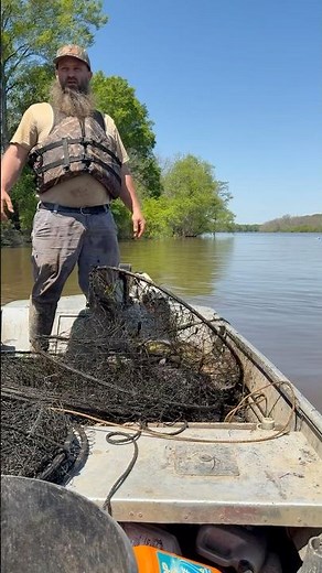 Hoop Nets catching FISH #fishing #fish #catfish #shorts #viral #outdoors #louisiana #carp