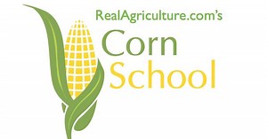Corn School - 400  Bushel Corn - Are We There Yet?