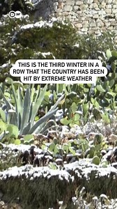 4.1K views · 69 reactions | ⛄ A rare sight in Athens – the Greek capital is blanketed in white. As impressive as the snowed under Acropolis is, the wintery weather has its downsides in the form of traffic chaos and schools closed. Residents are being advised to stay at home. ⁠⁠ Have you ever experienced Athens in the snow? Via DW News | DW Travel | Facebook