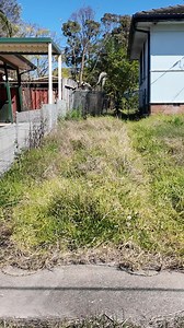 554K views · 10K reactions | Landlord puts up rent 86% after lawn mower man uncovers driveway he had no idea existed. #satisfying | Tim The Lawnmower Man | Facebook