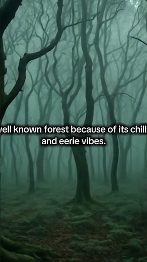 "Hoia Baciu: The World's Most Haunted Forest"