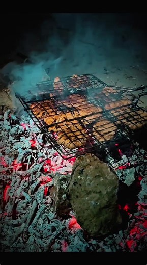 ✨ Midnight Meatballs & River Magic ✨ There’s something hypnotic about the sizzle of meatballs over glowing coals while the Yantra and Danube rivers whisper nearby. 🌊🔥 After a long day of exploring, nothing beats this