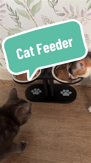 The Benefits of Elevating Cat Food Bowls