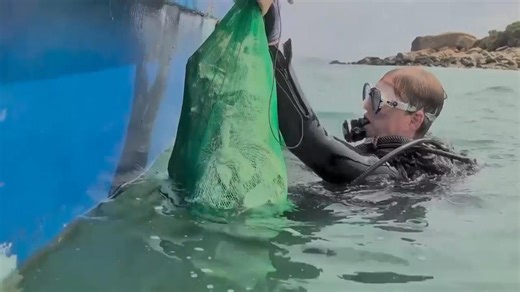 Discarded shells bolster Hong Kong's oyster reef restoration