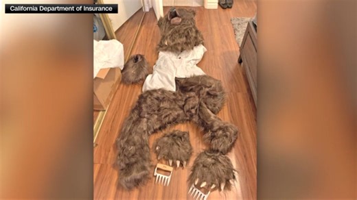 Fake bear attacks used in California insurance fraud scam
