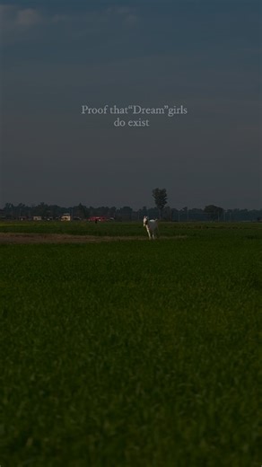 Chattha Stud & Agriculture Farm on Instagram: "Living the dream…"